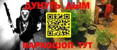 шишки Севастополь